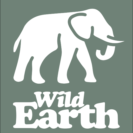 WildEarth TV – Nature Safari