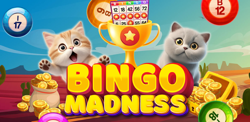 Bingo Madness Live Bingo Games