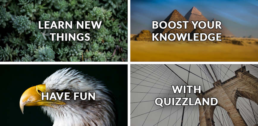 QuizzLand. Quiz & Trivia game