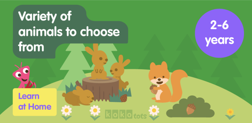 Learn Forest Animals for Kids
