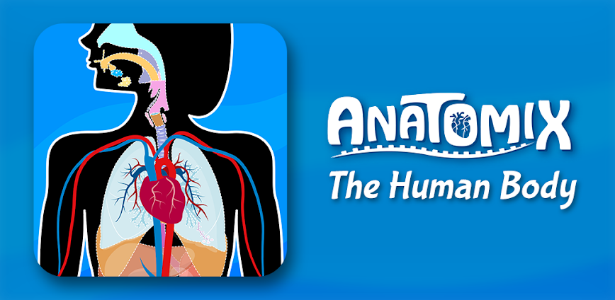 Human Anatomy – Body parts