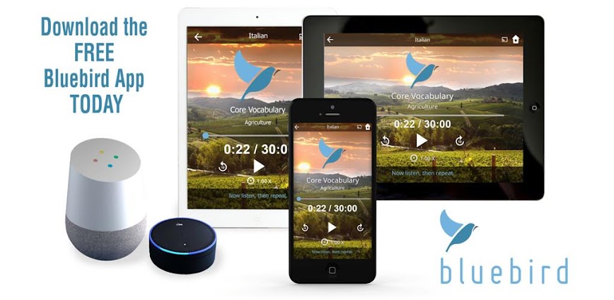 Learn 163 Languages | Bluebird