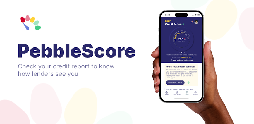 PebbleScore: Credit Report App