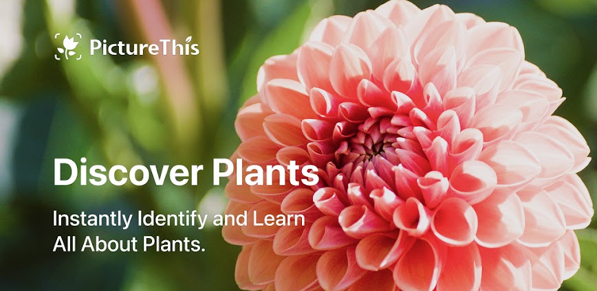 PictureThis – Plant Identifier