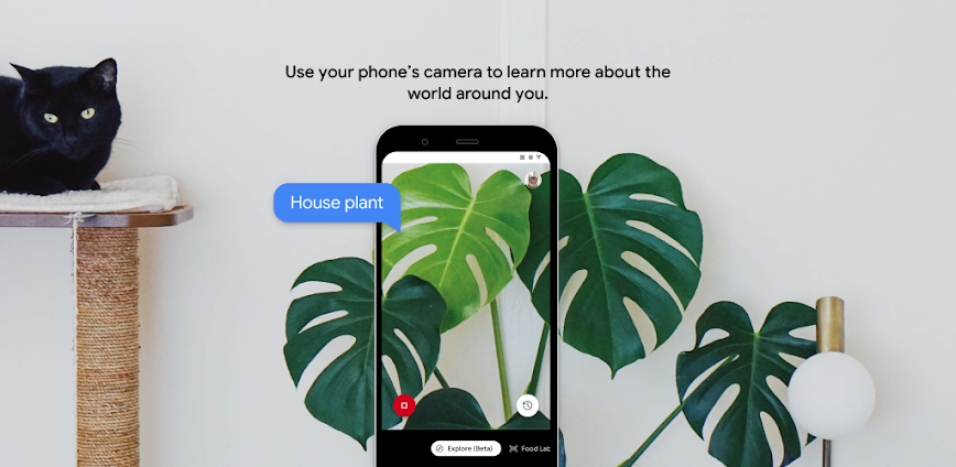 Lookout – Assisted vision