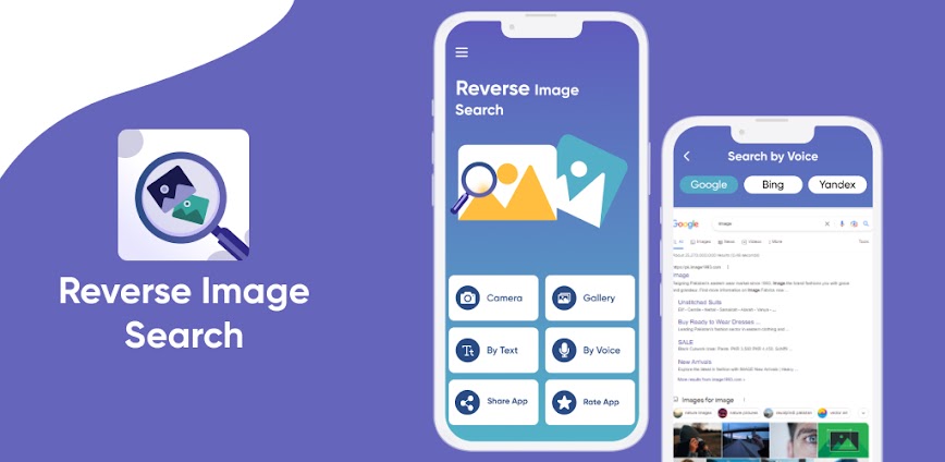 Reverse Image Search by Image
