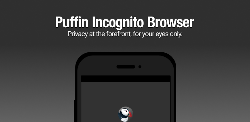 Puffin Incognito Browser