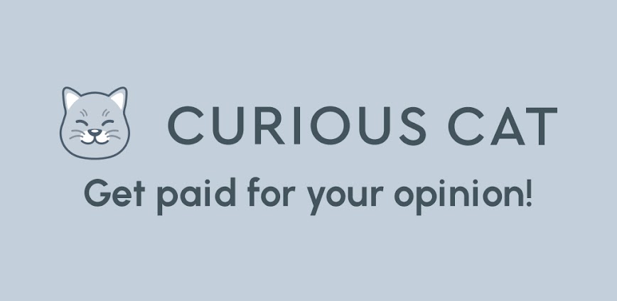 Curious Cat: Paid Surveys