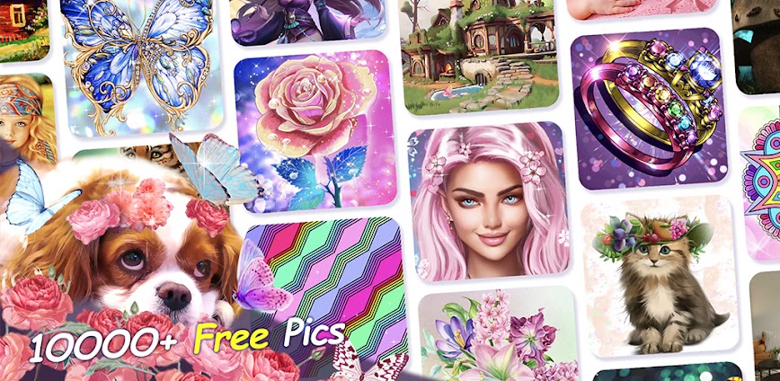 Fancy Color – Paint By Number