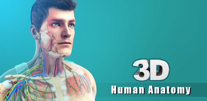 Human Anatomy