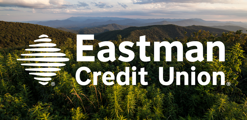 ECU Cards