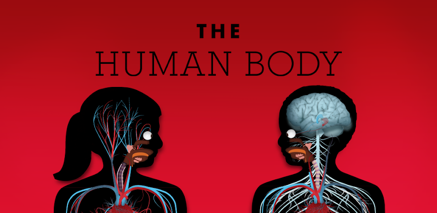 The Human Body by Tinybop