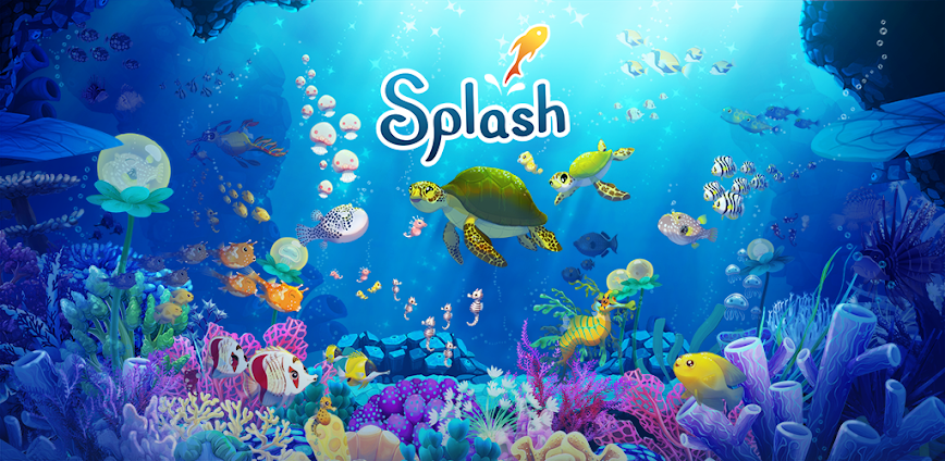 Splash — Fish Aquarium