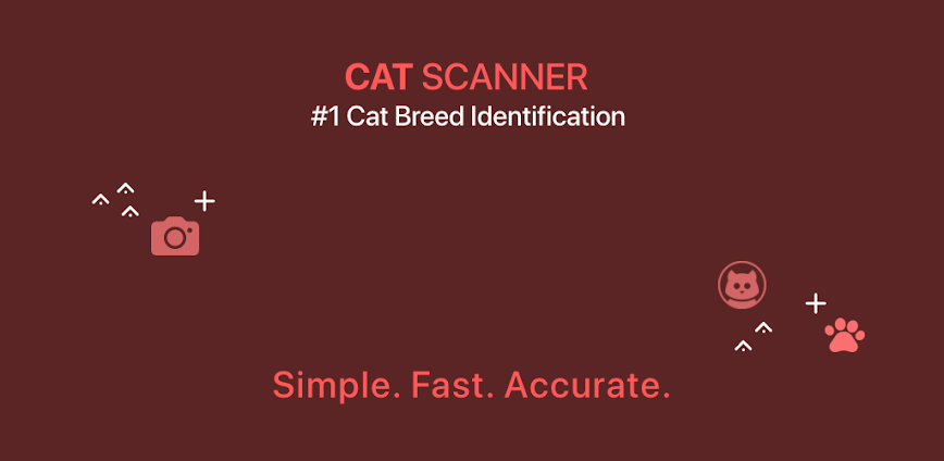Cat Scanner: Breed Recognition