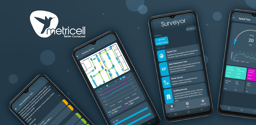 Network Surveyor
