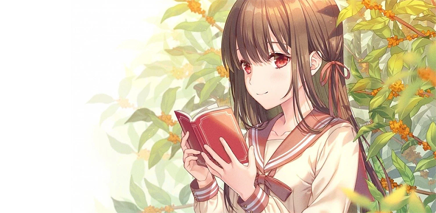 All Novel Full