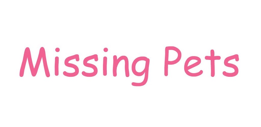 Missing Pets – Find Lost Pet