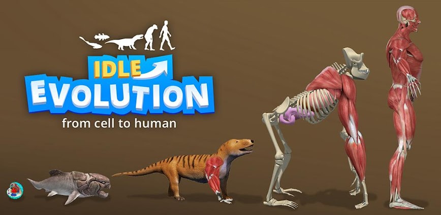 Idle Evolution – Cell to Human