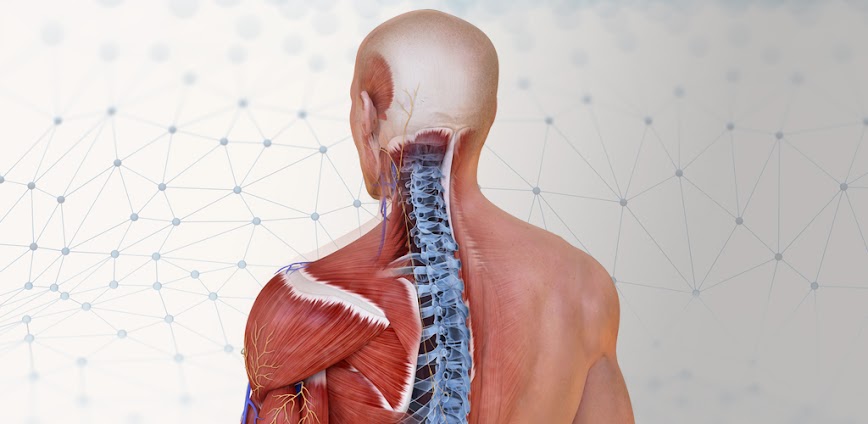 Complete Anatomy