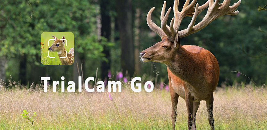 TrailCam Go