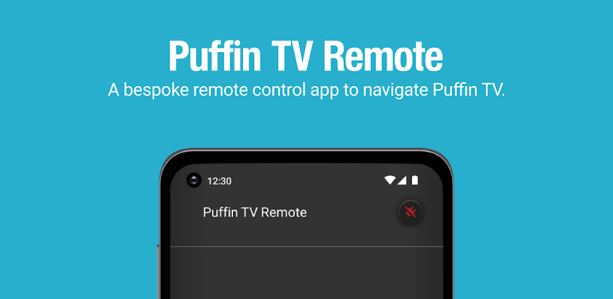 Puffin TV Remote