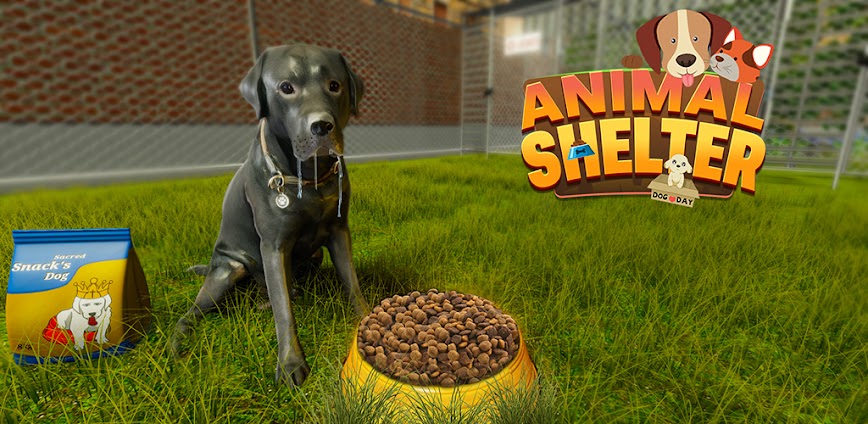 Animal Shelter Pet Rescue Game
