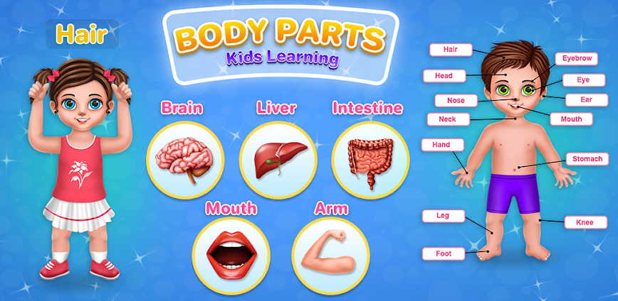 Human Body Parts Kids Learning