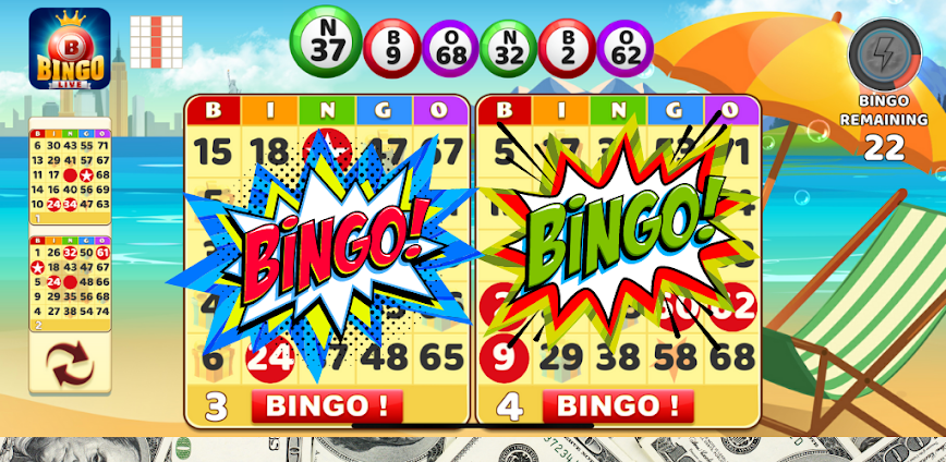 Bingo Live Games
