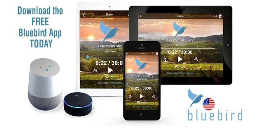 Learn American English. Speak