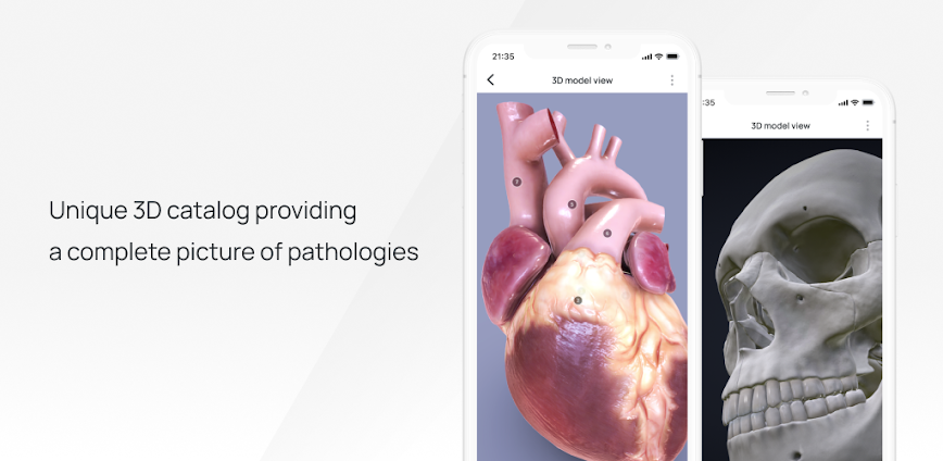 VOKA 3D Anatomy & Pathology